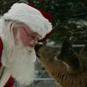 Meet your Posher, Santa jim